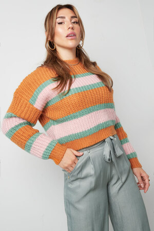 Pull tricoté tricolore à rayure - rose orangé h5 Image10